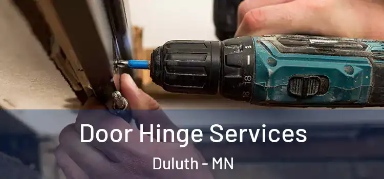 Door Hinge Services Duluth - MN