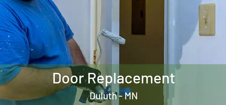 Door Replacement Duluth - MN