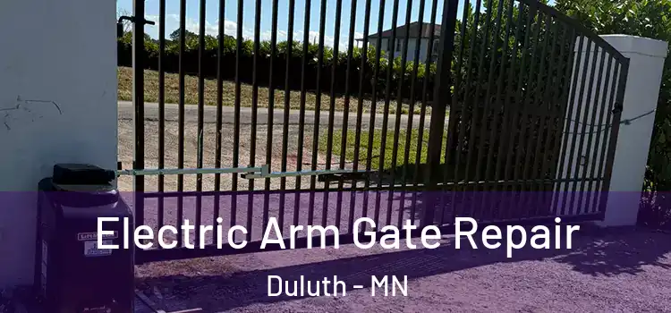  Electric Arm Gate Repair Duluth - MN