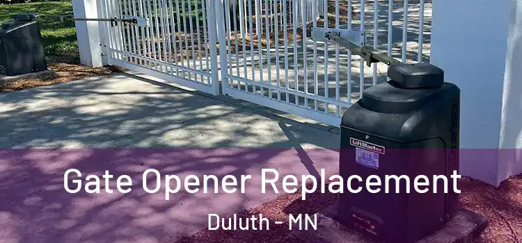 Gate Opener Replacement Duluth - MN