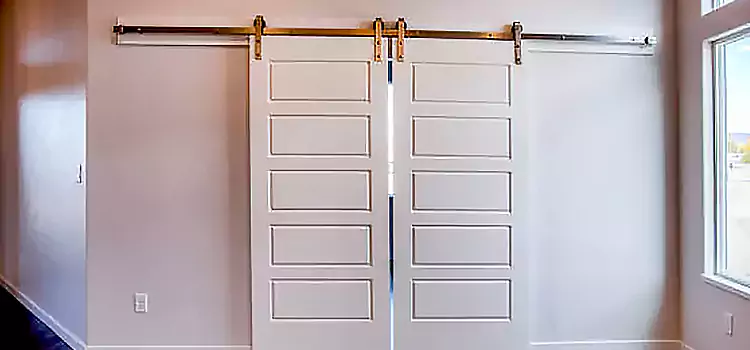 Glass Barn Door with Installation Hardware Kit Duluth