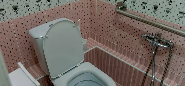 Meeting Diverse Needs With Accessible Restroom Solutions in Duluth, MN