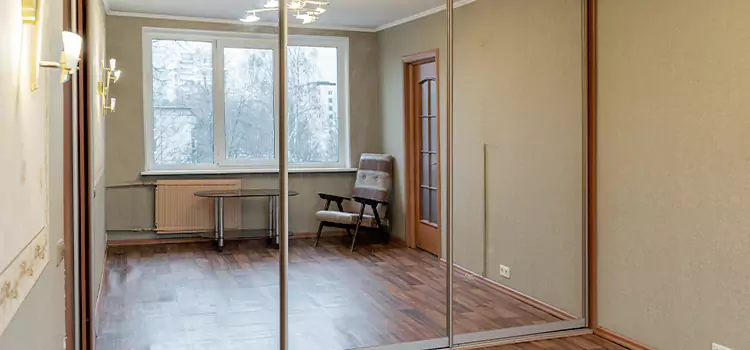 Mirror Closet Door Roller Replacement Duluth