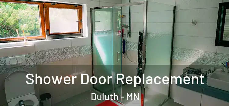 Shower Door Replacement Duluth - MN