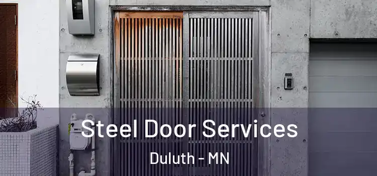  Steel Door Services Duluth - MN